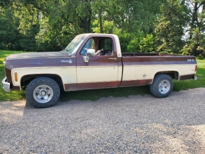 1977 Chevrolet C10 for sale