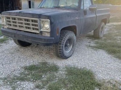 1977 Chevrolet Pickup for sale