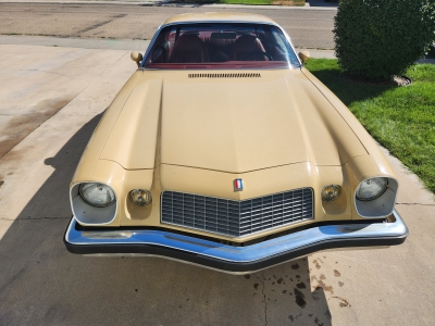 1977 Chevrolet Camaro for sale