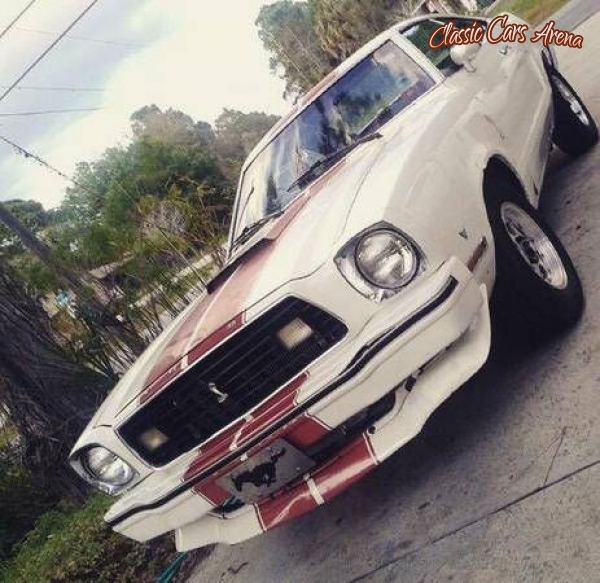 1977 Ford Mustang for sale in Michigan (ID-11310)