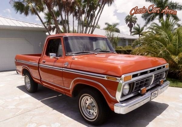1977 Ford F100 for sale in Michigan (ID-39085)