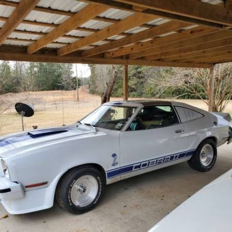 1977 Ford Mustang for sale in Michigan (ID-88467)
