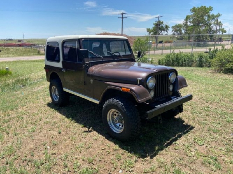 1977 Jeep CJ7 for sale in Michigan (ID-81098)