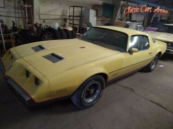 1977 Pontiac Firebird for sale in Michigan (ID-30776)