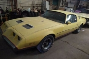 1977 Pontiac Firebird for sale