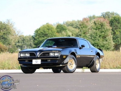 1977 Pontiac Firebird for sale