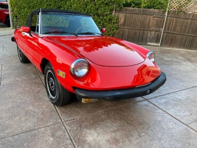 1977 Alfa Romeo Spider for sale