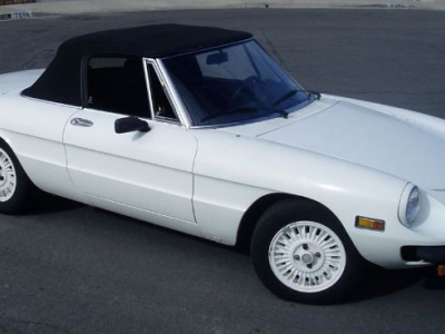 1977 Alfa Romeo Spider for sale
