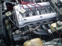 1977 Alfa Romeo Spider Veloce for sale in Michigan (ID-111508)
