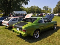 1977 AMC Hornet for sale in Michigan (ID-127237)
