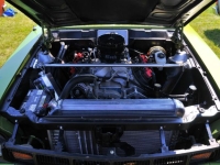 1977 AMC Hornet for sale in Michigan (ID-127237)