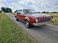 1977 AMC Hornet for sale in Michigan (ID-130656)