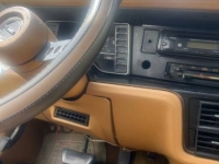 1977 AMC Pacer for sale in Michigan (ID-146389)