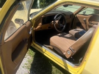1977 AMC Pacer for sale in Michigan (ID-146389)
