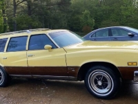 1977 Buick Century for sale in Michigan (ID-126197)