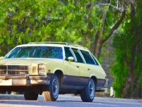 1977 Buick Century for sale in Michigan (ID-126197)