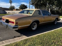 1977 Buick Riviera for sale in Michigan (ID-161600)