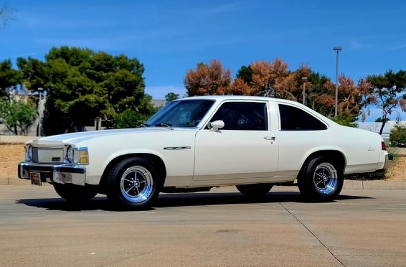 1977 Buick Skylark for sale in Michigan (ID-114126)