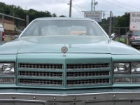1977 Buick Special for sale in Michigan (ID-96057)