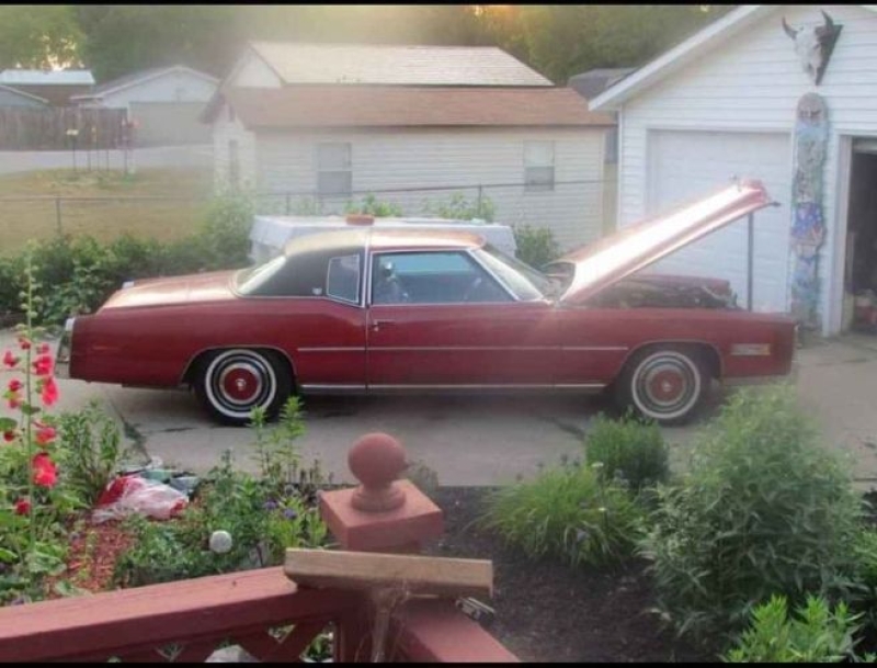 1977 Cadillac Eldorado for sale in Michigan (ID-135423) 1977 Cadillac Eldorado for sale in Michigan (ID-135423)
