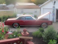 1977 Cadillac Eldorado for sale in Michigan (ID-135423)