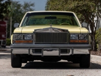 1977 Cadillac Seville for sale in Michigan (ID-124216)
