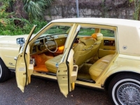 1977 Cadillac Seville for sale in Michigan (ID-124216)