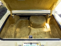 1977 Cadillac Seville for sale in Michigan (ID-124216)