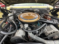 1977 Cadillac Seville for sale in Michigan (ID-124216)