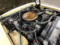 1977 Cadillac Seville for sale in Michigan (ID-124216)