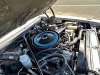 1977 Cadillac Seville for sale in Michigan (ID-126470)