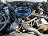 1977 Cadillac Seville for sale in Michigan (ID-126470)