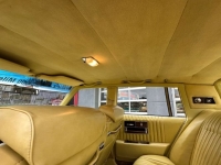 1977 Cadillac Seville for sale in Michigan (ID-142639)