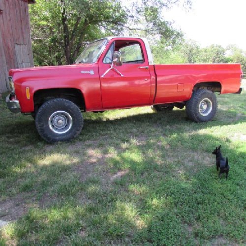 1977 Chevrolet 1500 for sale in Michigan (ID-119133) 1977 Chevrolet 1500 for sale in Michigan (ID-119133)