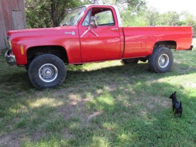 1977 Chevrolet 1500 for sale