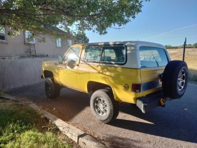 1977 Chevrolet Blazer for sale