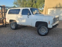 1977 Chevrolet Blazer for sale in Michigan (ID-119336)
