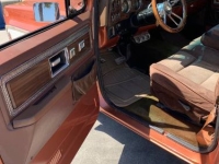 1977 Chevrolet Blazer for sale in Michigan (ID-134192)