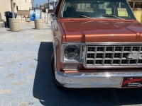 1977 Chevrolet Blazer for sale in Michigan (ID-134192)