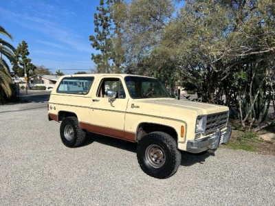 1977 Chevrolet Blazer for sale