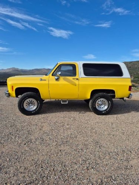 1977 Chevrolet Blazer for sale in Michigan (ID-164053)