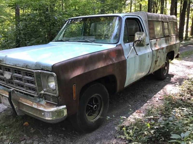 1977 Chevrolet C10 for sale in Michigan (ID-94678)