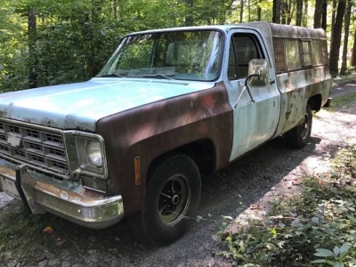1977 Chevrolet C10 for sale