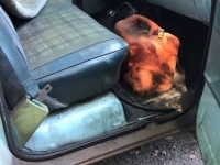 1977 Chevrolet C10 for sale in Michigan (ID-94678)