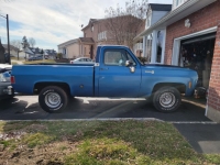 1977 Chevrolet C10 for sale in Michigan (ID-97088)