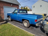 1977 Chevrolet C10 for sale in Michigan (ID-97088)