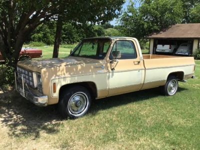 1977 Chevrolet C10 for sale
