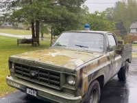 1977 Chevrolet C10 for sale in Michigan (ID-109539)
