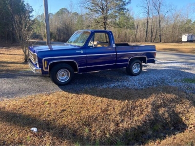 1977 Chevrolet C10 for sale