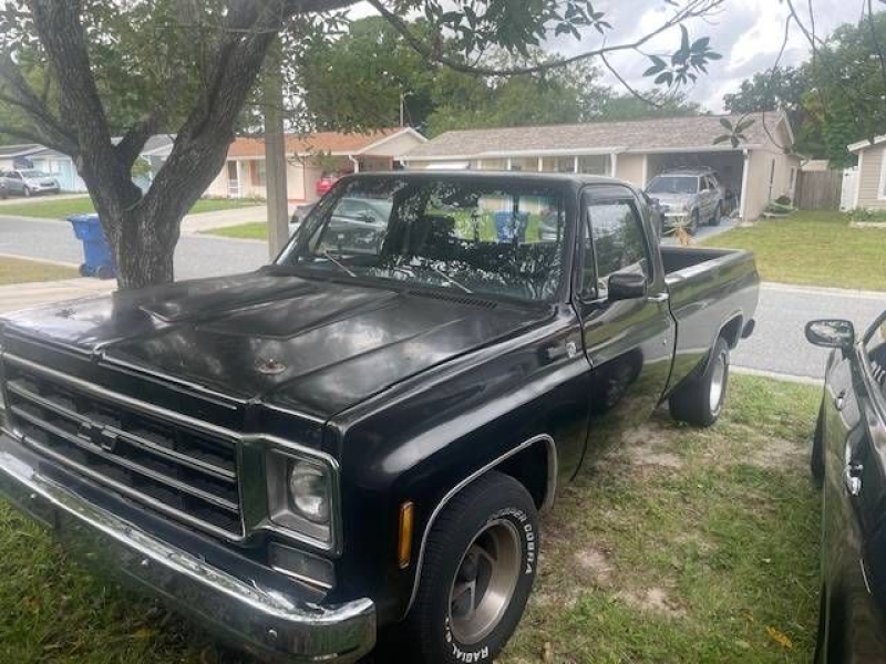 1977 Chevrolet C10 for sale in Michigan (ID-133208)